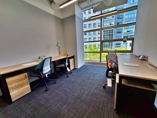 CONCORDIAN(콘코디언) 사진 #17