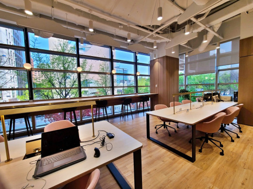 CONCORDIAN(콘코디언) 사진 #9