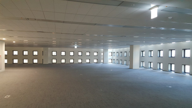 디타워 D1 사진 #2